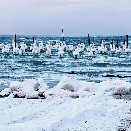 Haderslev With A Fireplace 04 하데르슬레우